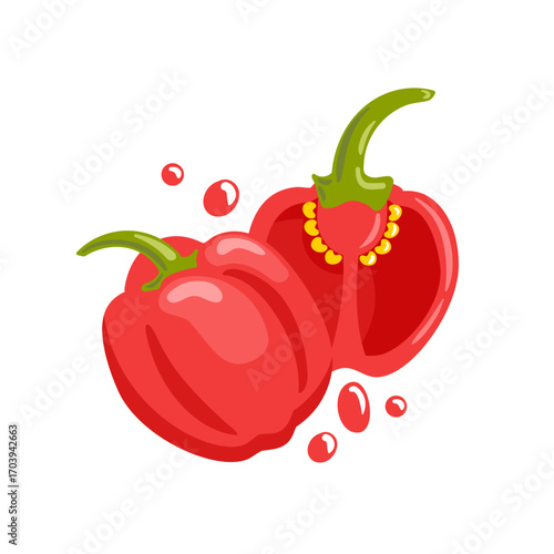 Sweet red pepper vector illustration glossy, plump pepper with subtle shading and bright highlights, bold contours, and a clean, modern look for fresh produce styling.