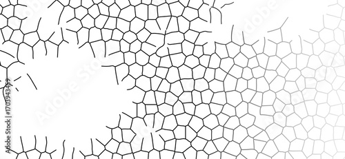 Abstract polygonal pattern in black and white features an organic cellular structure fading into a gradient, resembling a mosaic or fractured network against a bright background