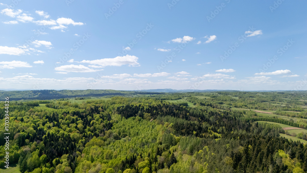 Fototapeta premium Aerial view of lush green forests and rolling hills under a blue sky with scattered clouds, showcasing the beauty of nature in springtime. Ideal for nature and travel themes.