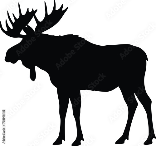 Black silhouette bamboo stalks with leaves vector illustration for nature design, Asian style, eco-friendly theme, minimalist plant and forest background.