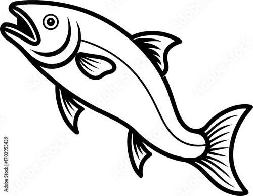 Salmon fish 