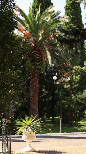 Tropical Park