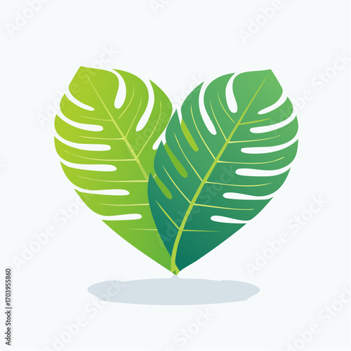 Two Green Monstera Deliciosa Leaves Forming A Heart Shape