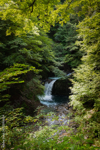 Nishizawa Gorge in Yamanashi Prefecture, in Japan. A famous location for hiking along the river  and very popular during the autumn season.