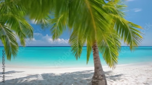 Tropical beach scene with palm trees, turquoise water, and white sand
