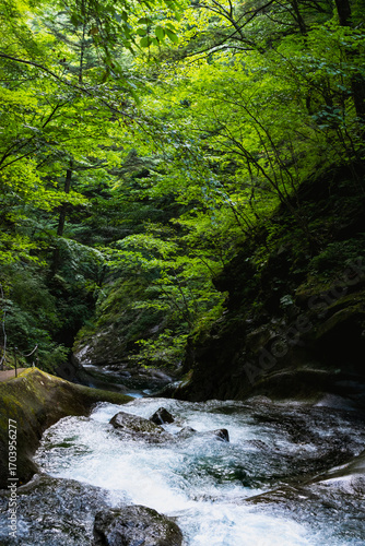 Nishizawa Gorge in Yamanashi Prefecture, in Japan. A famous location for hiking along the river  and very popular during the autumn season.