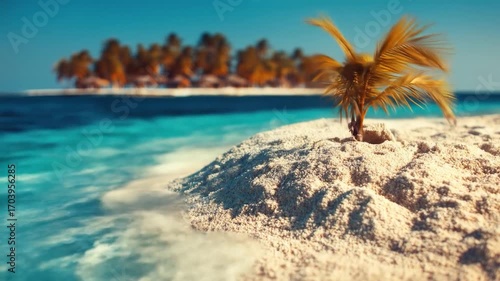 Tropical island beach scene with small palm tree
