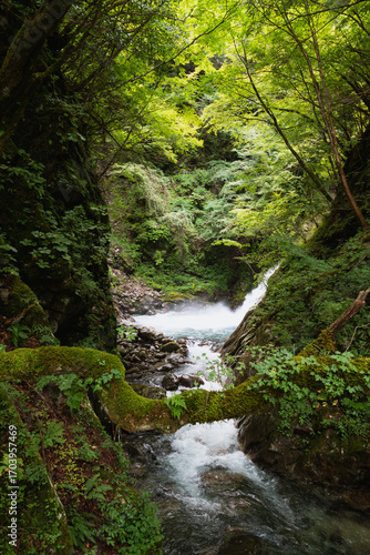 Nishizawa Gorge in Yamanashi Prefecture, in Japan. A famous location for hiking along the river  and very popular during the autumn season.