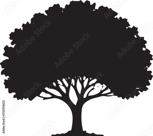 Majestic silhouette of a large oak tree with detailed branches and lush foliage