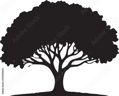 Majestic silhouette of a large oak tree with sprawling branches and full foliage