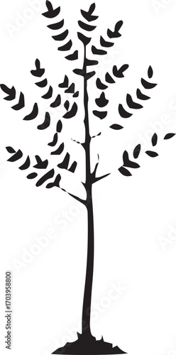 Minimalist silhouette of a tall tree with sparse leaves against a white backdrop
