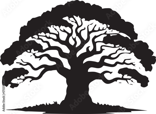Silhouette of a majestic ancient tree with sprawling branches against a bright sky