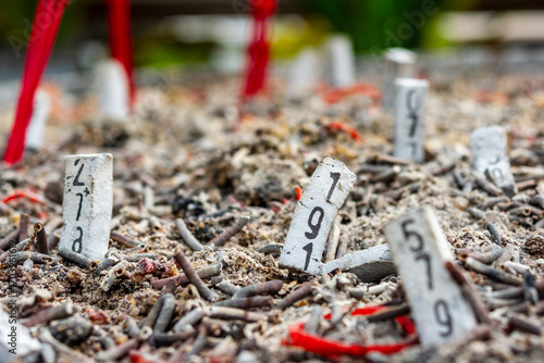 Wallpaper Mural Incense numbers create wealth. Points to see numbers to try your luck. Points to see numbers to try your luck. Torontodigital.ca