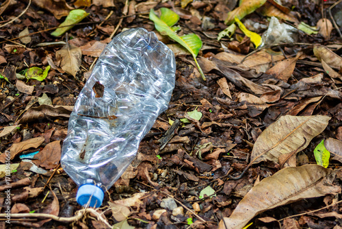 Plastic trash, PET bottle and plastic bag in the forrest. The environmental pollution. Nature protection.