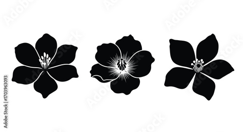 Three stylized black flowers with detailed petals in a row isolated on white vector