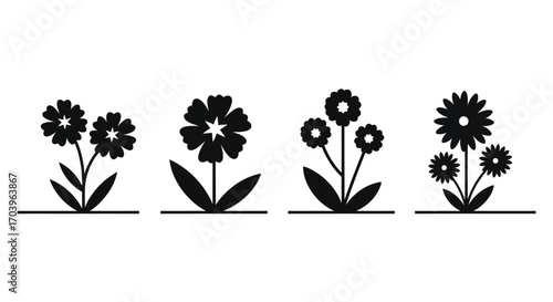 Four silhouette flower arrangements with stems leaves and ground line isolated icons vector