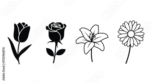 Four distinct flowers including tulip rose lily and daisy silhouettes and line art designs vector
