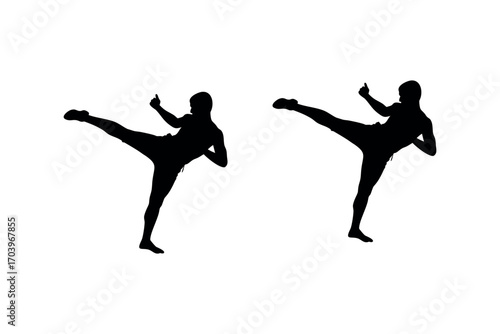two martial artists practicing kicks in dynamic poses silhouette