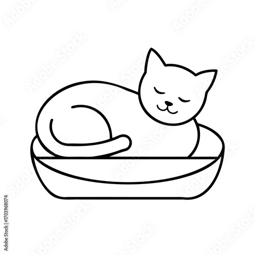 Cat Sleeping In Bed On A White Background