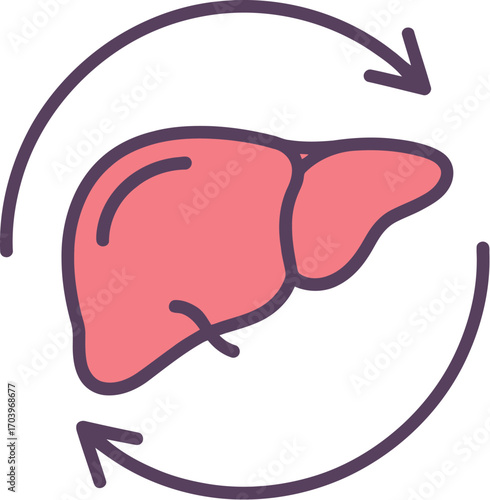 Liver health detox cleanse regeneration and function icon