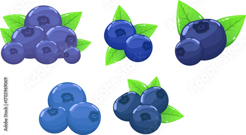 Blueberries Vector Design Collection – Five Unique Styles of Healthy Fruit Graphics for Food Packaging, Recipes, and Natural Product Concepts