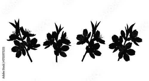 Set of four dark silhouette sprigs with delicate flowers and leaves in a linear arrangement vector