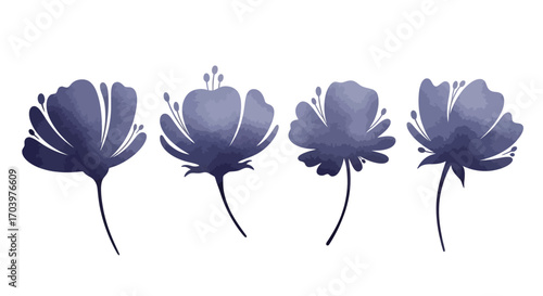 Delicate purple poppy flowers with soft petals isolated on white artistic watercolor style vector