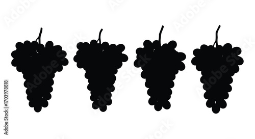 Four black silhouette bunches of fresh grapes isolated on vector