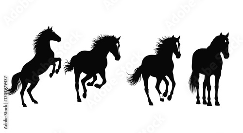 Dynamic silhouette sequence of four horses in motion showing different gaits and poses vector
