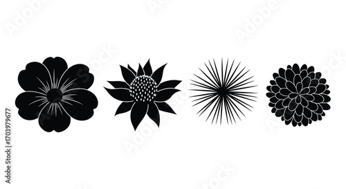 Four distinct black silhouette flower designs celebrating nature's botanical beauty and floral artistry vector