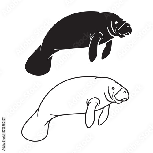 Stylized Manatee Silhouette & Manatee Lineart – Manatee Vector Template with Elegant Line Details – Manatee Illustration – Silhouette and Lineart Set of Manatee