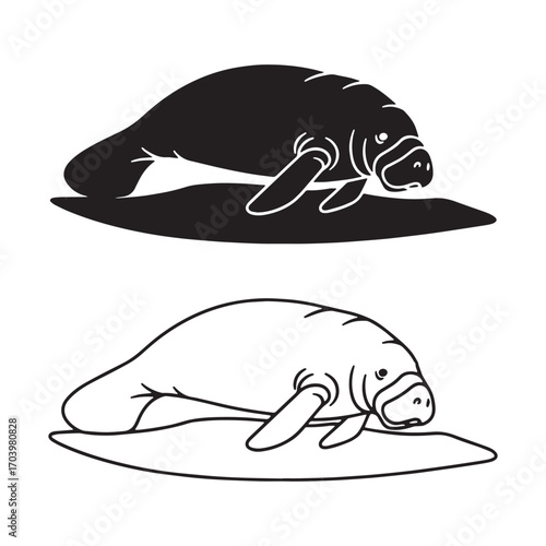 Defined Manatee Silhouette & Manatee Lineart – Manatee Vector Graphic with Clear Marine Animal Shape – Black Vector of Manatee – Vector Set of Manatee