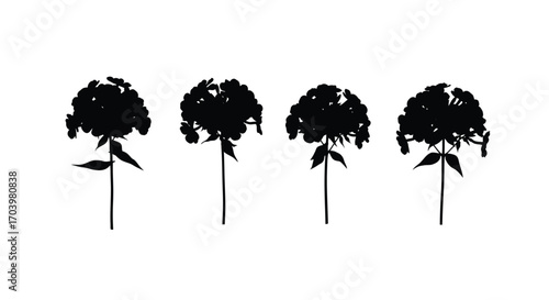 Four textured black silhouettes of hydrangea flower heads on stems vector