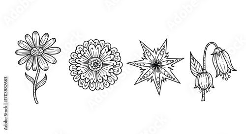 Hand drawn botanical sketches of four unique floral blooms delicate line art nature study vector
