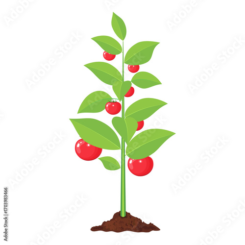 Adobe Illustrator Artwork