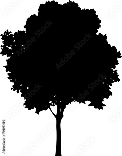 tree silhouettes, realistic tree silhouettes, detailed black tree silhouettes, various tree silhouettes, natural tree silhouettes, different types of trees, silhouettes against a white background,