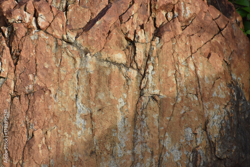 Canvas Print A close-up view of a large rock surface, featuring a network of deep cracks and a blend of reddish-brown and gray tones