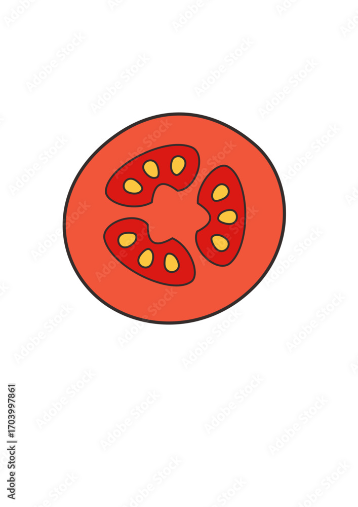Fototapeta premium tomato slices illustration