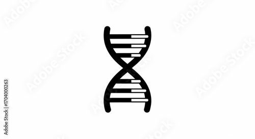 Exploring the Fundamentals of DNA Structure and Function