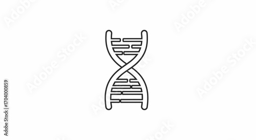 Understanding the Blueprint of Life DNA Structure and Function