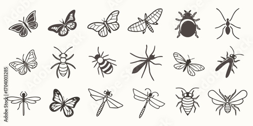 Collection of various insect illustrations