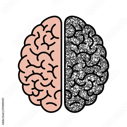 Brain Function Illustration Left vs