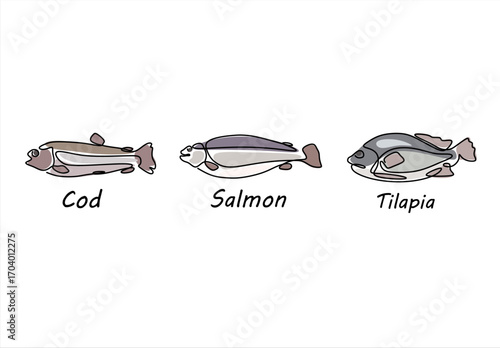 Cod, Salmon and Tilapia Fish. line icon-continuous line drawing. Editable stroke. 