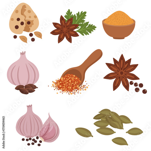 Assortment of Culinary Spices and Aromatics Collection