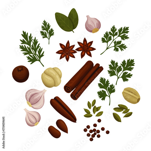 Assortment of Culinary Spices and Herbs Arranged Artfully