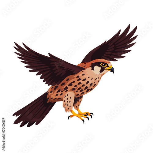 Brown and Tan Kestrel in Flight, Wings Spread, Sharp Talons