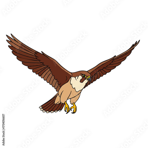 Cartoon illustration of a peregrine falcon flying with its wings fully spread.