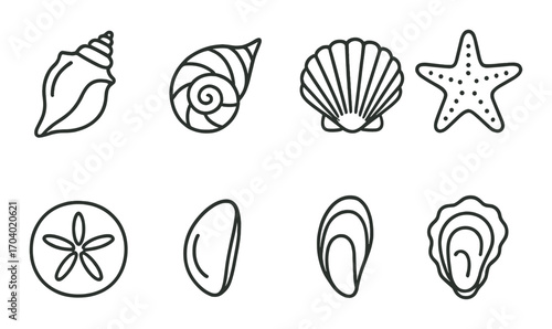 Variety of seashell icons on dark background