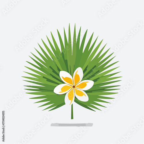Tropical Frangipani Flower on Palm Leaf with White Background