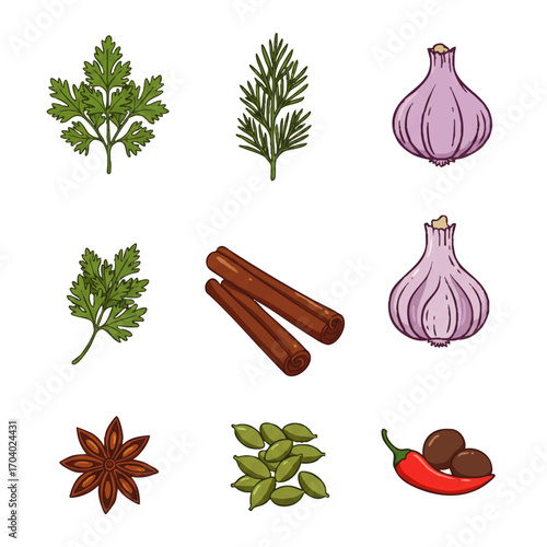 Colorful hand-drawn set of various culinary spices and herbs, including garlic, cinnamon, chili, and parsley.